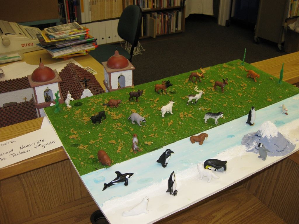 4th Grade Social Studies Project Ideas